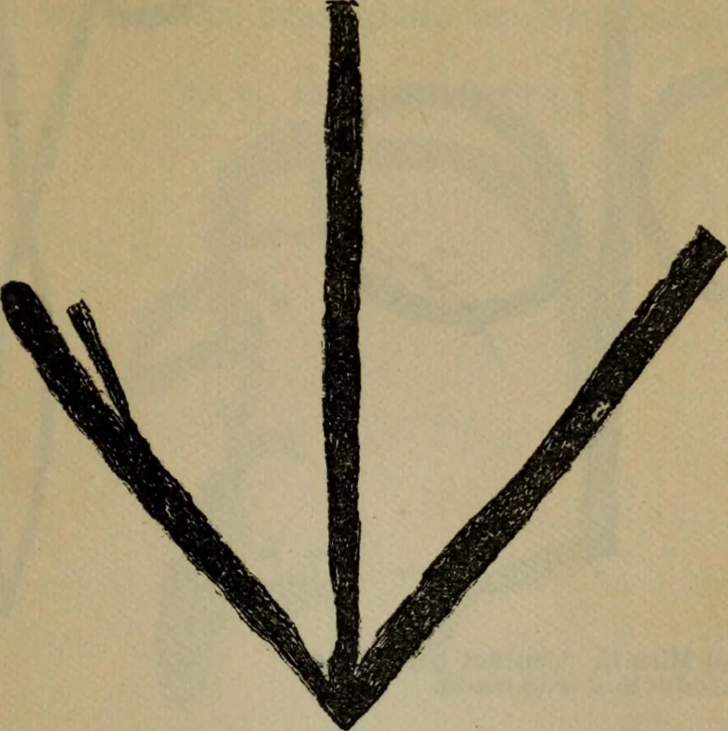 An illustration from The widow's mite and other psychic phenomena, 1904, leaf 324