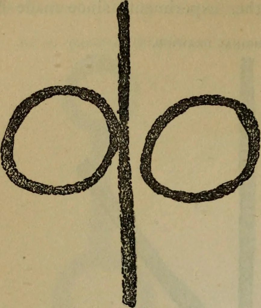 An illustration from The widow's mite and other psychic phenomena, 1904, leaf 325