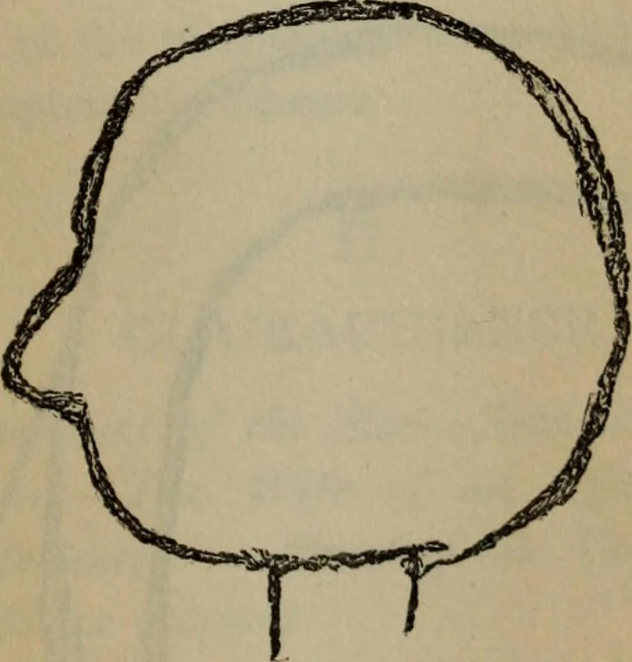 An illustration from The widow's mite and other psychic phenomena, 1904, leaf 326
