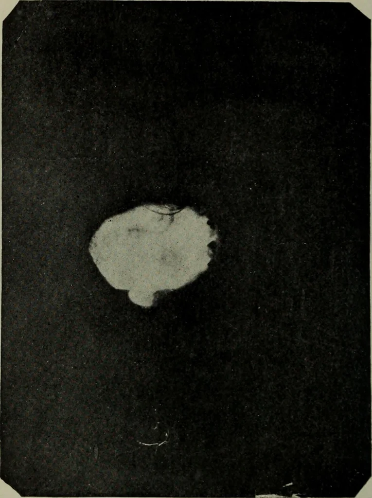 An illustration from The widow's mite and other psychic phenomena, 1904, leaf 485