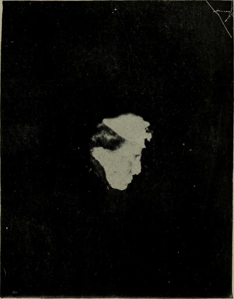 An illustration from The widow's mite and other psychic phenomena, 1904, leaf 486