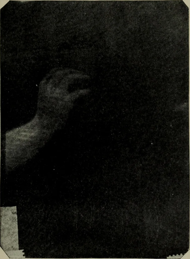 An illustration from The widow's mite and other psychic phenomena, 1904, leaf 494