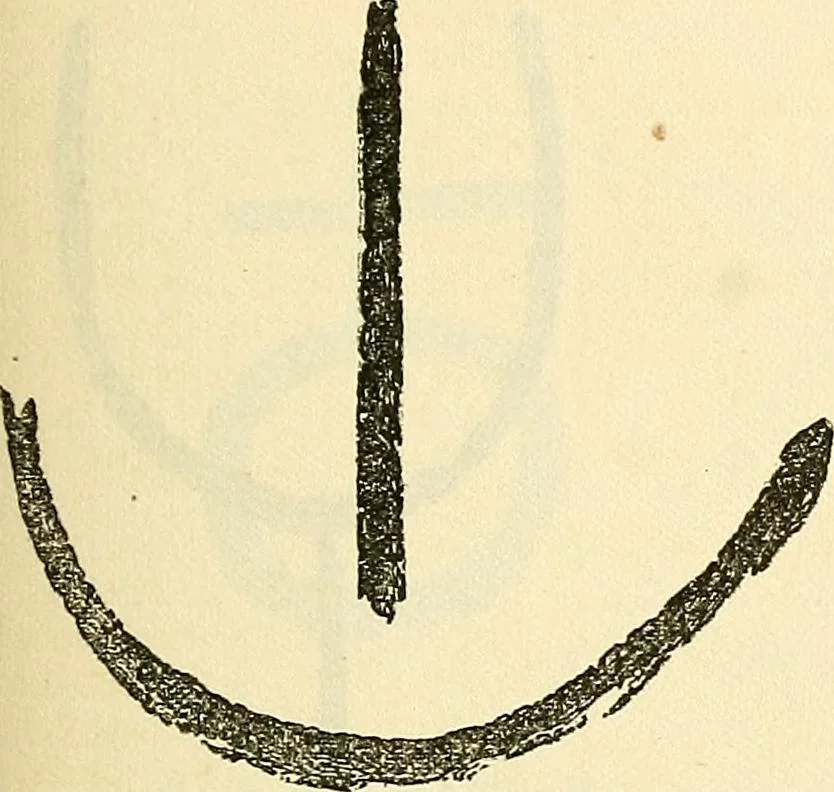 An illustration from The widow's mite and other psychic phenomena, 1904, leaf 320