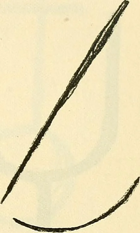 An illustration from The widow's mite and other psychic phenomena, 1904, leaf 320