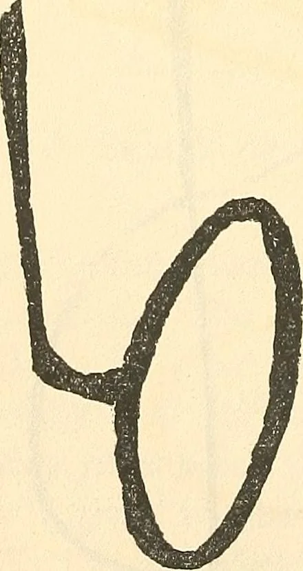 An illustration from The widow's mite and other psychic phenomena, 1904, leaf 321