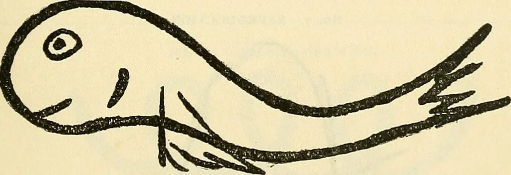 An illustration from The widow's mite and other psychic phenomena, 1904, leaf 322