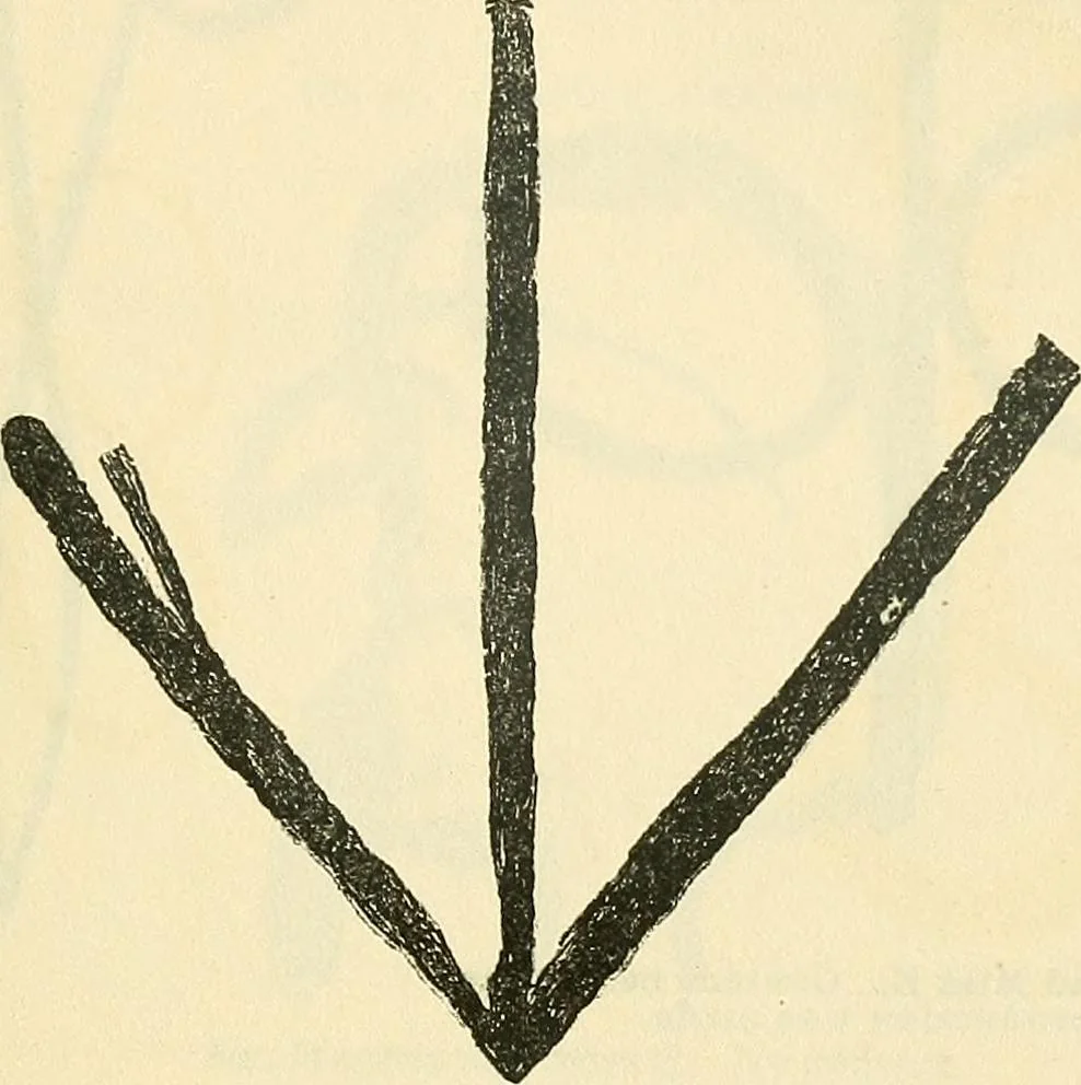 An illustration from The widow's mite and other psychic phenomena, 1904, leaf 326