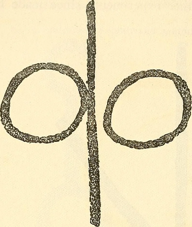 An illustration from The widow's mite and other psychic phenomena, 1904, leaf 327