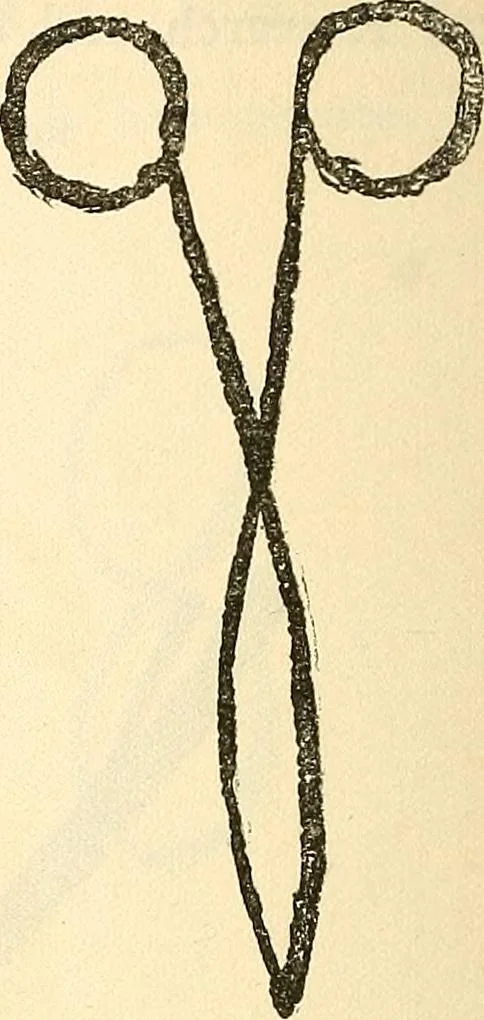 An illustration from The widow's mite and other psychic phenomena, 1904, leaf 327