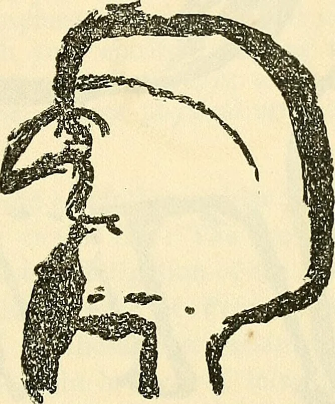An illustration from The widow's mite and other psychic phenomena, 1904, leaf 328
