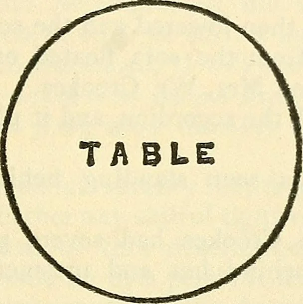An illustration from The widow's mite and other psychic phenomena, 1904, leaf 366
