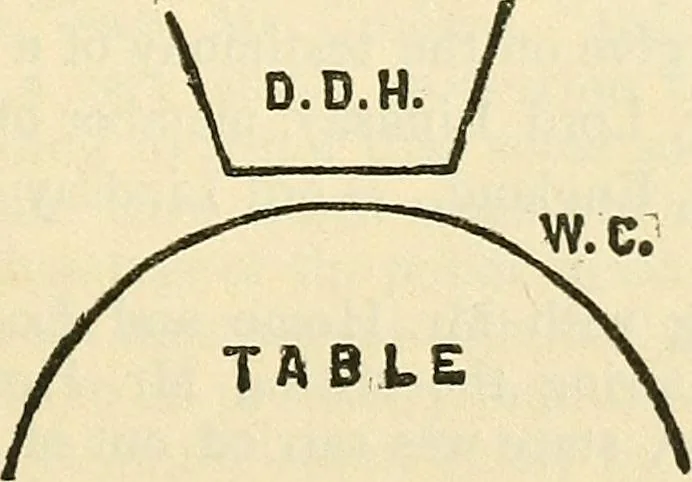 An illustration from The widow's mite and other psychic phenomena, 1904, leaf 366