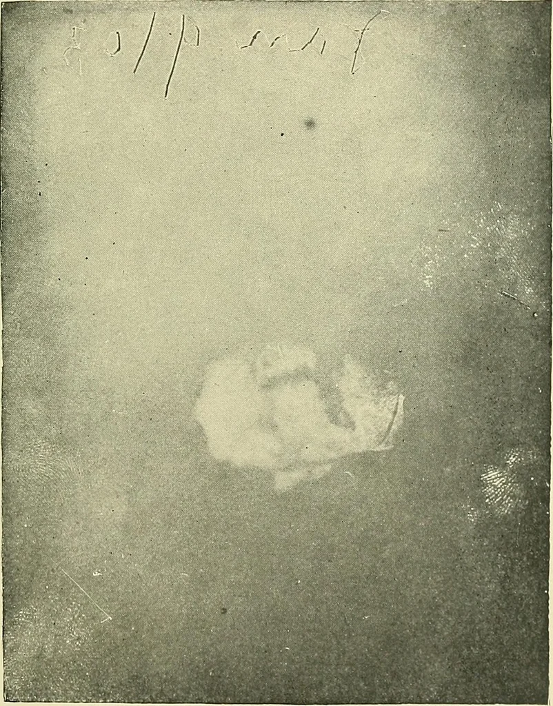 An illustration from The widow's mite and other psychic phenomena, 1904, leaf 478