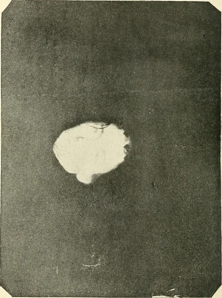 An illustration from The widow's mite and other psychic phenomena, 1904, leaf 487