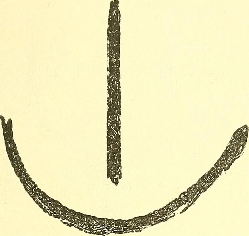 An illustration from The widow's mite and other psychic phenomena, 1911, leaf 318
