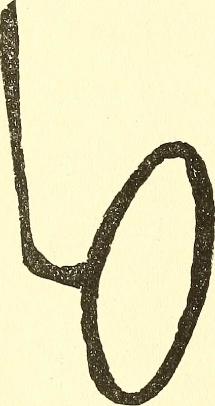 An illustration from The widow's mite and other psychic phenomena, 1911, leaf 319