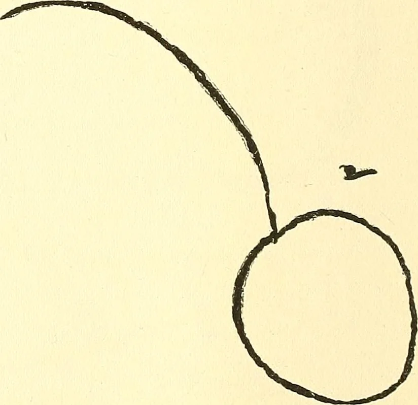 An illustration from The widow's mite and other psychic phenomena, 1911, leaf 319