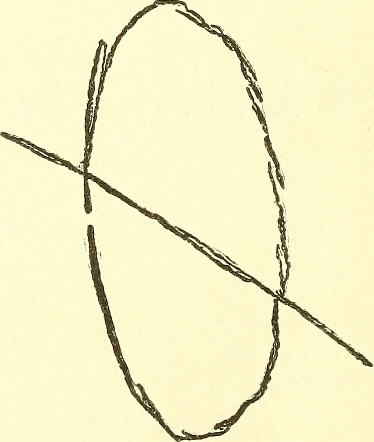 An illustration from The widow's mite and other psychic phenomena, 1911, leaf 321