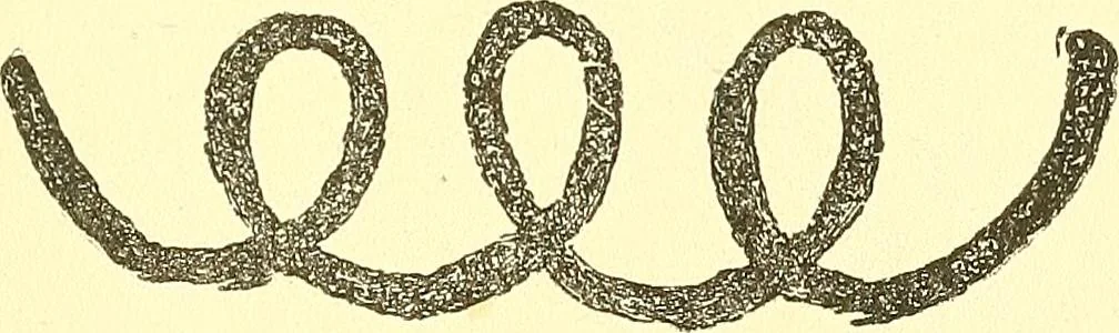 An illustration from The widow's mite and other psychic phenomena, 1911, leaf 322