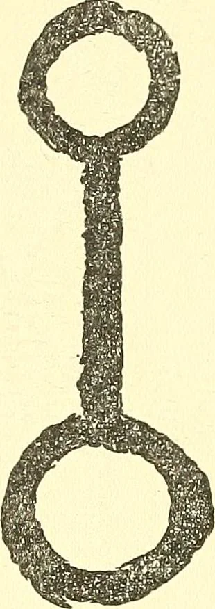 An illustration from The widow's mite and other psychic phenomena, 1911, leaf 323