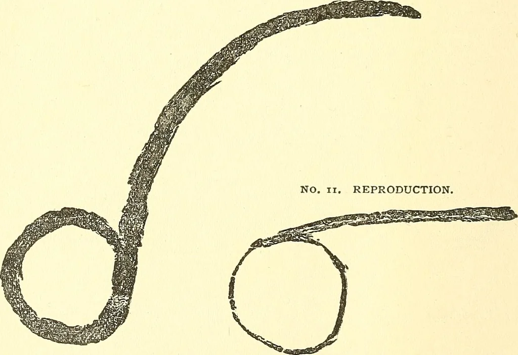 An illustration from The widow's mite and other psychic phenomena, 1911, leaf 323