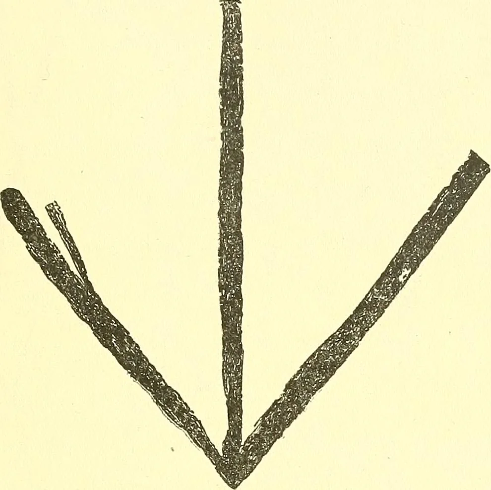 An illustration from The widow's mite and other psychic phenomena, 1911, leaf 324