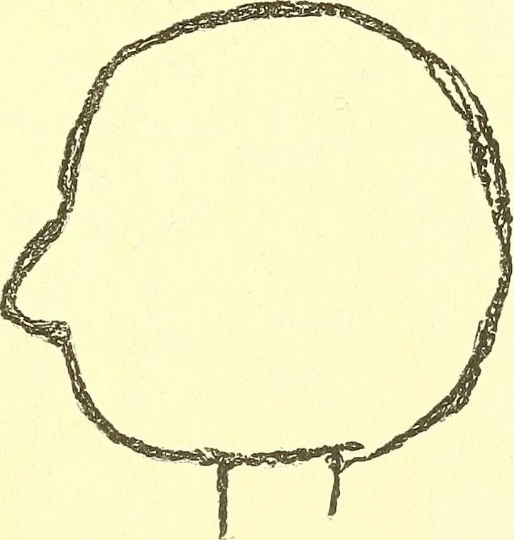 An illustration from The widow's mite and other psychic phenomena, 1911, leaf 326