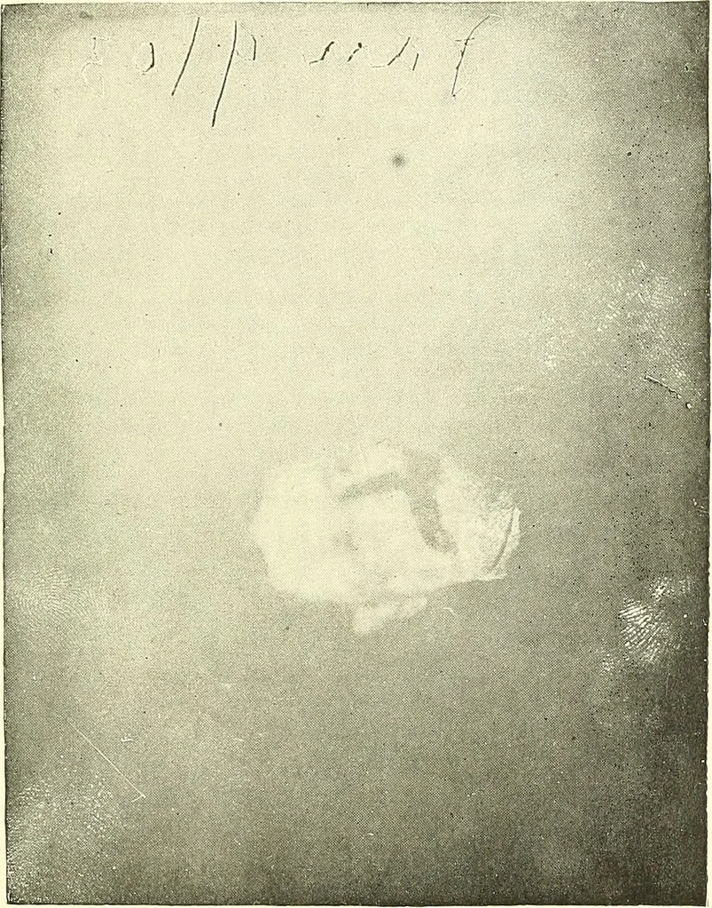 An illustration from The widow's mite and other psychic phenomena, 1911, leaf 476