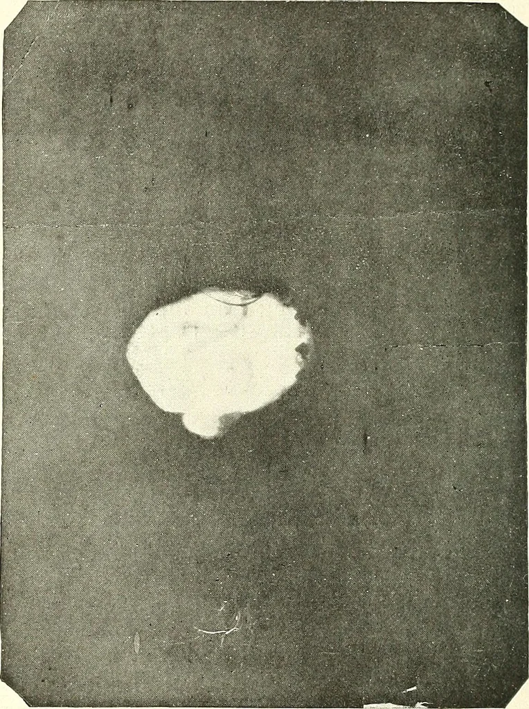 An illustration from The widow's mite and other psychic phenomena, 1911, leaf 485