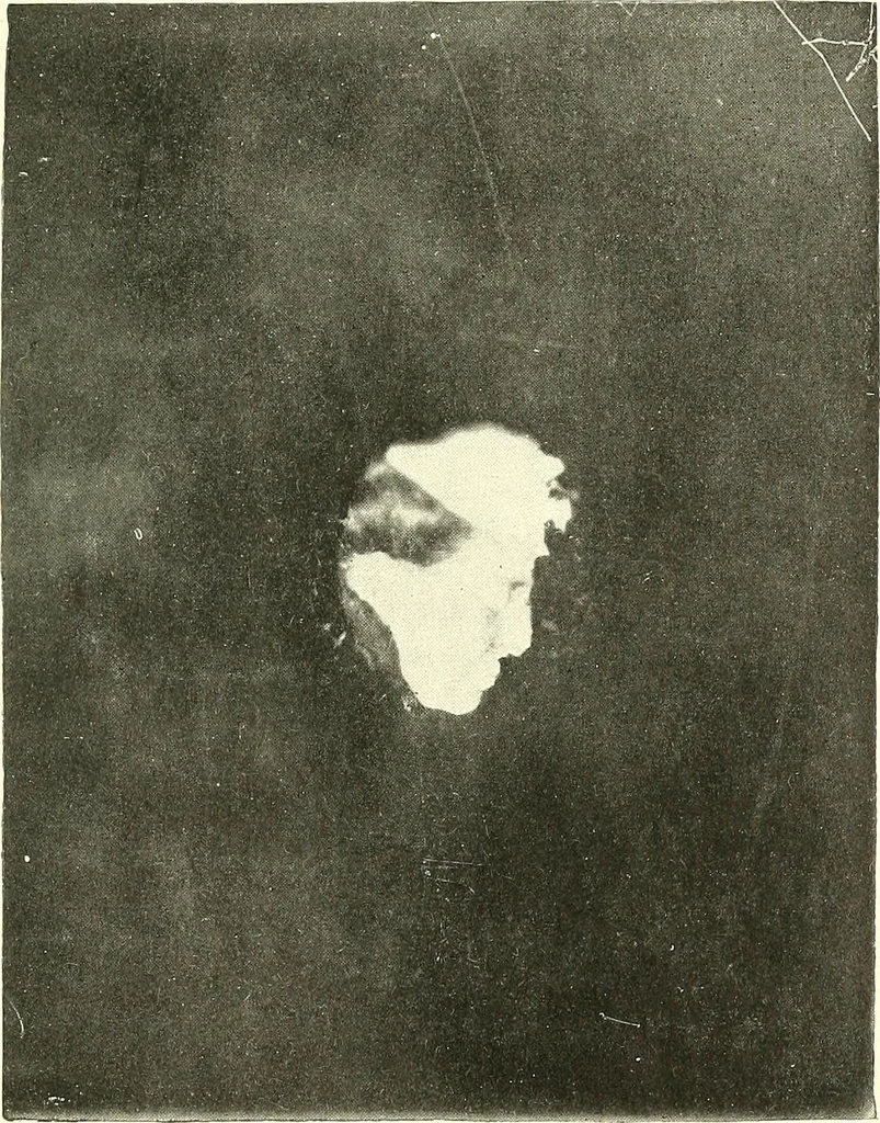 An illustration from The widow's mite and other psychic phenomena, 1911, leaf 486