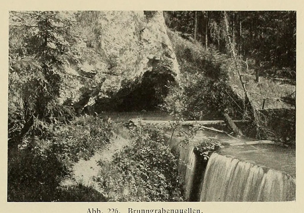 An illustration from Wien am Anfang des XX. Jahrhunderts; ein Führer in technischer und künstlerischer Richtung .., 1905, leaf 301