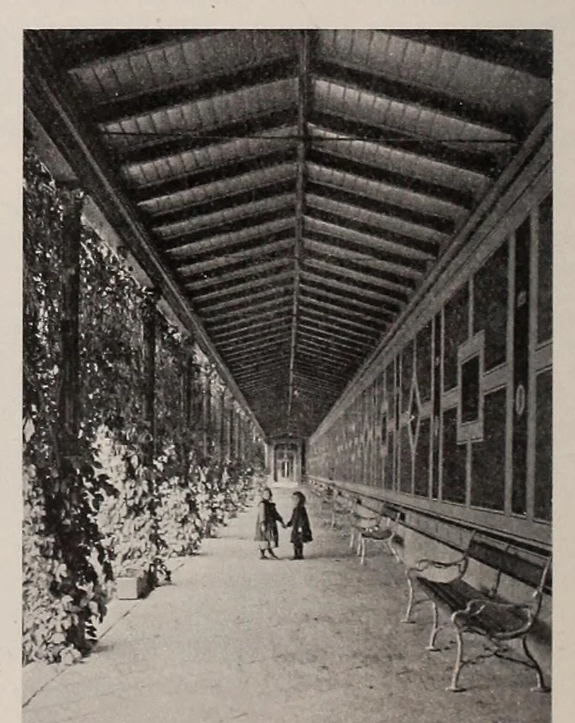 An illustration from Wien am Anfang des XX. Jahrhunderts; ein Führer in technischer und künstlerischer Richtung .., 1905, leaf 312