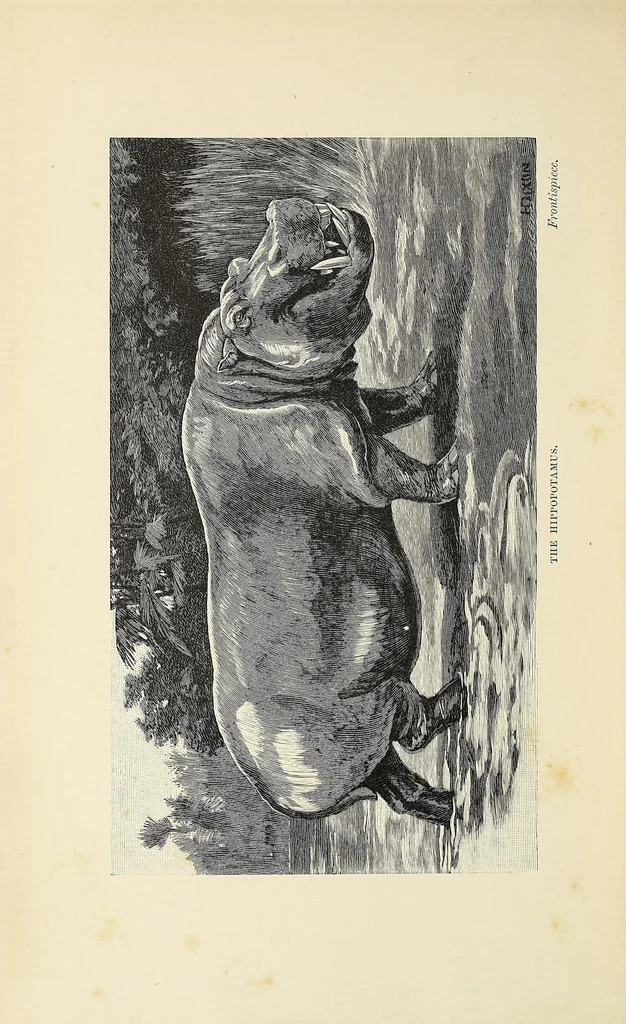An illustration from Wild beasts and their ways : reminiscences of Europe, Asia, Africa, and America, 1890, leaf 10
