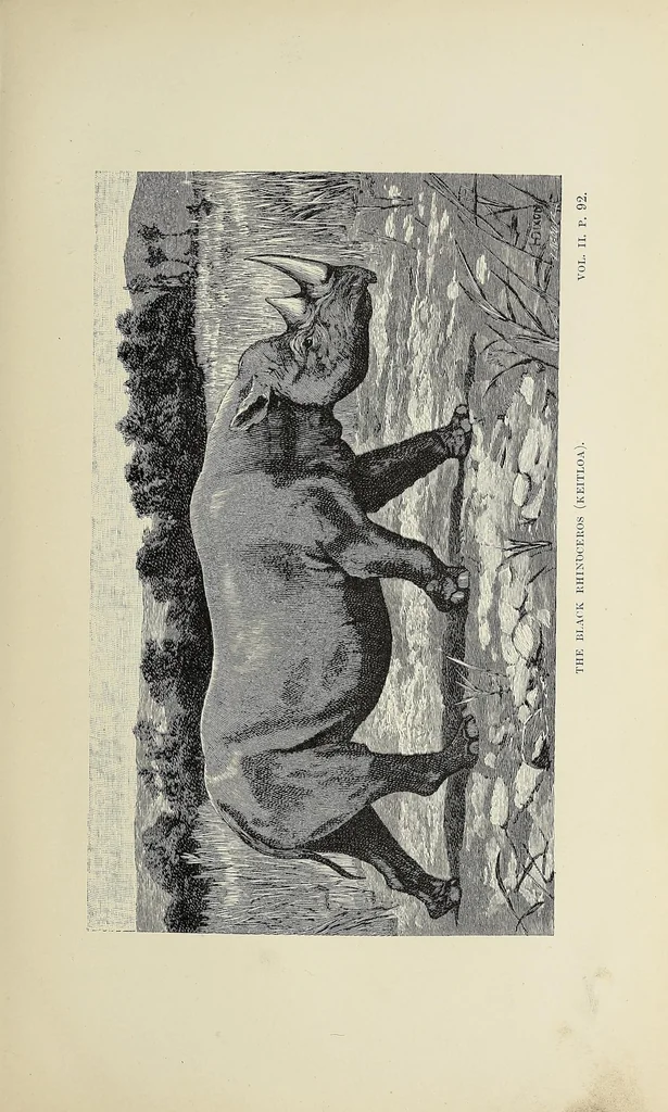 An illustration from Wild beasts and their ways : reminiscences of Europe, Asia, Africa, and America, 1890, leaf 119