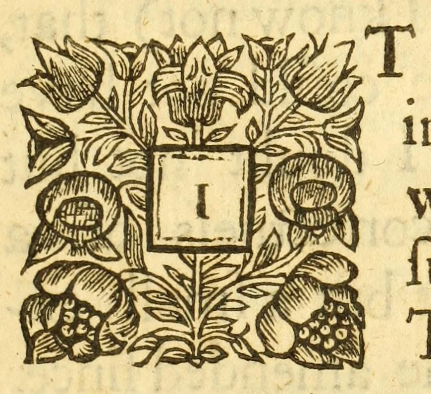 An illustration from The wild gallant : a comedy, as it was acted at the Theatre-Royal, by His Majesties Servants, 1669, leaf 13