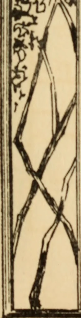 An illustration from Wildwood homes : being a collection of houses and details with suggestions for the home builder, 1912, leaf 38