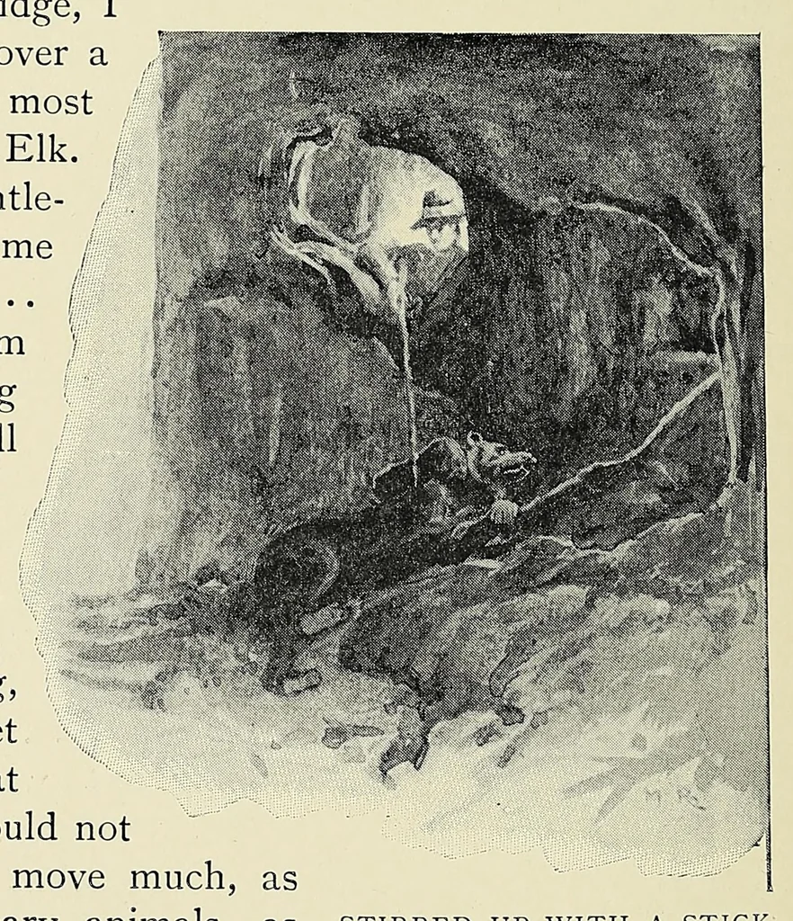 An illustration from William Cotton Oswell, hunter and explorer : the story of his life with certain correspondance and extracts from the private journal of David Livingstone, hitherto unpublished, 1900, leaf 124