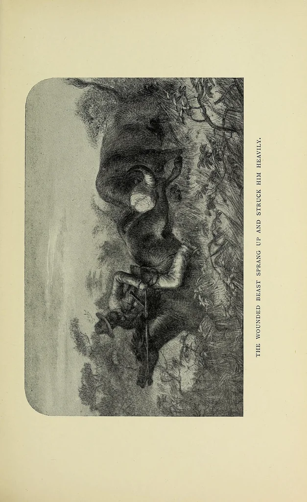 An illustration from William Cotton Oswell, hunter and explorer : the story of his life with certain correspondance and extracts from the private journal of David Livingstone, hitherto unpublished, 1900, leaf 147