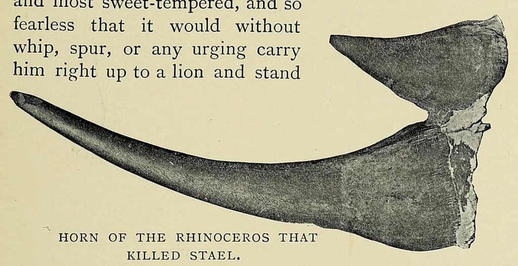 An illustration from William Cotton Oswell, hunter and explorer : the story of his life with certain correspondance and extracts from the private journal of David Livingstone, hitherto unpublished, 1900, leaf 177