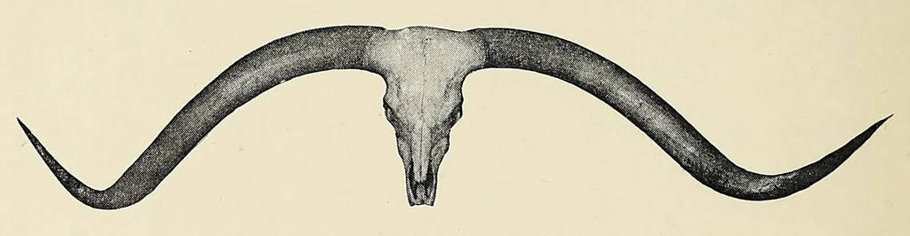 An illustration from William Cotton Oswell, hunter and explorer : the story of his life with certain correspondance and extracts from the private journal of David Livingstone, hitherto unpublished, 1900, leaf 284
