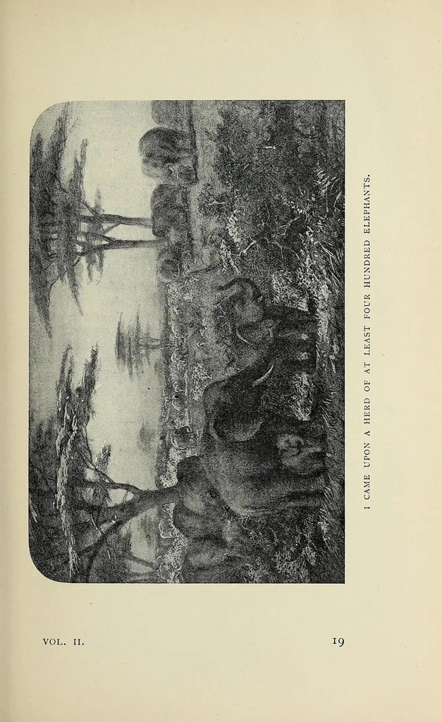 An illustration from William Cotton Oswell, hunter and explorer : the story of his life with certain correspondance and extracts from the private journal of David Livingstone, hitherto unpublished, 1900, leaf 43