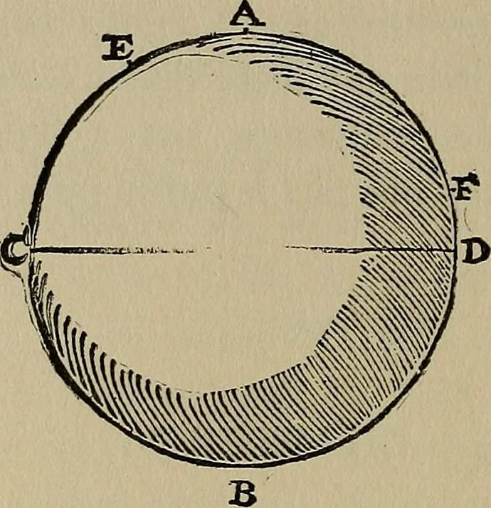 An illustration from William Gilbert of Colchester, physician of London, On the loadstone and magnetic bodies and on the great magnet the earth. A new physiology, demonstrated with many arguments and experiments .., 1893, leaf 173