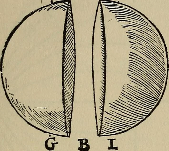 An illustration from William Gilbert of Colchester, physician of London, On the loadstone and magnetic bodies and on the great magnet the earth. A new physiology, demonstrated with many arguments and experiments .., 1893, leaf 174