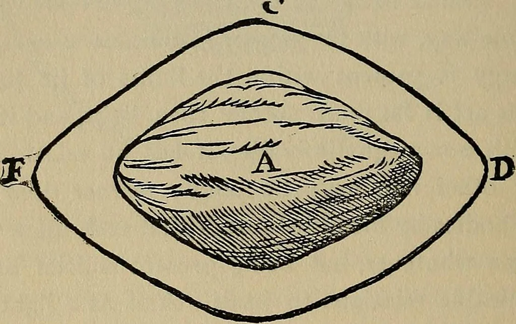 An illustration from William Gilbert of Colchester, physician of London, On the loadstone and magnetic bodies and on the great magnet the earth. A new physiology, demonstrated with many arguments and experiments .., 1893, leaf 181