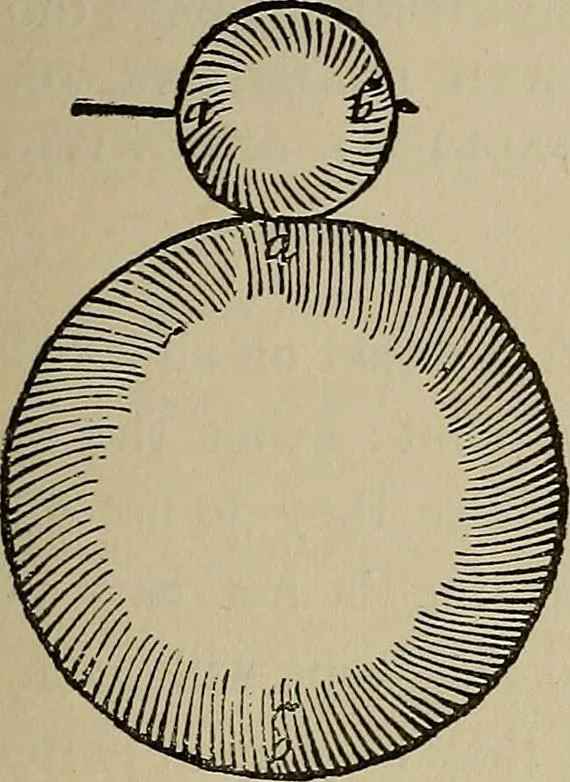 An illustration from William Gilbert of Colchester, physician of London, On the loadstone and magnetic bodies and on the great magnet the earth. A new physiology, demonstrated with many arguments and experiments .., 1893, leaf 204