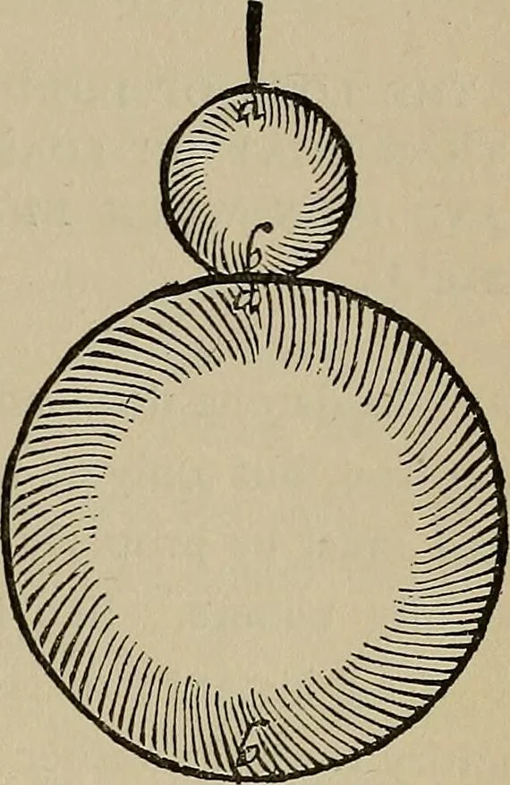An illustration from William Gilbert of Colchester, physician of London, On the loadstone and magnetic bodies and on the great magnet the earth. A new physiology, demonstrated with many arguments and experiments .., 1893, leaf 204