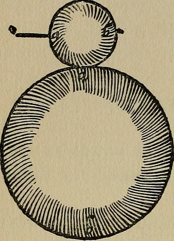 An illustration from William Gilbert of Colchester, physician of London, On the loadstone and magnetic bodies and on the great magnet the earth. A new physiology, demonstrated with many arguments and experiments .., 1893, leaf 221