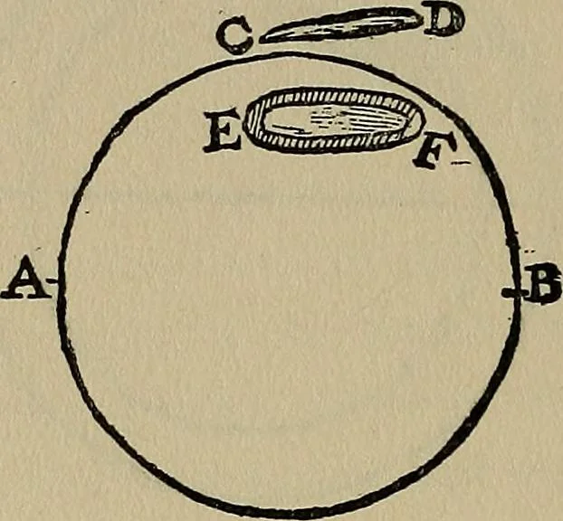An illustration from William Gilbert of Colchester, physician of London, On the loadstone and magnetic bodies and on the great magnet the earth. A new physiology, demonstrated with many arguments and experiments .., 1893, leaf 243