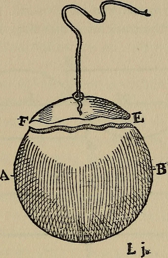 An illustration from William Gilbert of Colchester, physician of London, On the loadstone and magnetic bodies and on the great magnet the earth. A new physiology, demonstrated with many arguments and experiments .., 1893, leaf 244