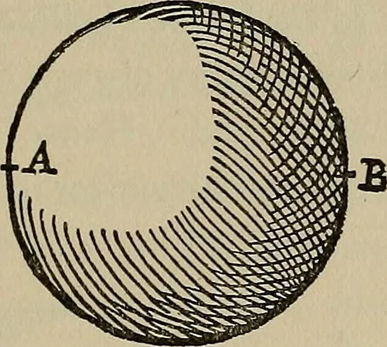 An illustration from William Gilbert of Colchester, physician of London, On the loadstone and magnetic bodies and on the great magnet the earth. A new physiology, demonstrated with many arguments and experiments .., 1893, leaf 250